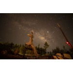 The arty night @ eco village